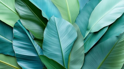 Lush Teal and Green Tropical Leaves Close Up