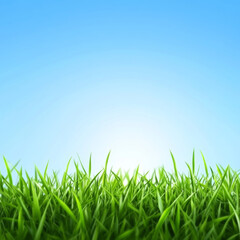 Lush green grass under clear blue sky creates serene atmosphere