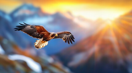Majestic golden eagle soars gracefully over snow capped mountain peaks at sunset casting warm light rays