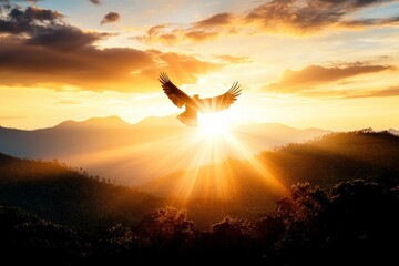 Majestic eagle soars above mountain range bathed in golden sunlight at dawn creating a sense of freedom and peace