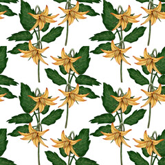 Seamless watercolor pattern with flowers and tomato leaves. Suitable for textile, packaging, wallpaper, culinary design, restaurant branding, postcards, scrapbooking and printed products.
