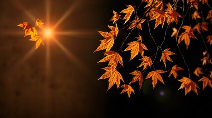 Golden Autumn Foliage on a Tree in Full Splendor