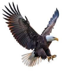 Obraz premium Majestic bald eagle in mid-flight with wide-spread wings and sharp talons, isolated on transparent background PNG