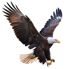 Majestic bald eagle in mid-flight with wide-spread wings and sharp talons, isolated on transparent background PNG