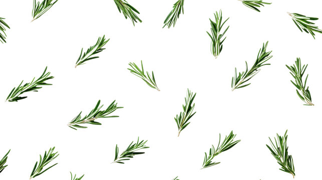 bamboo leaves seamless pattern isolated on white background