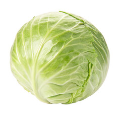 Fototapeta premium Fresh Cabbage Harvest, Local Farm, Food Photography, Natural Setting, Close-up View, Healthy Eating