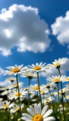 Bright daisies bloom in a vibrant field under a full moon and colorful clouds at sunset
