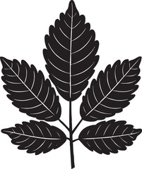 Leaf.15.eps