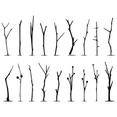 Silhouette of twig elements