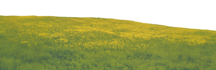 PNG Spring flower hills landscape outdoors scenery.