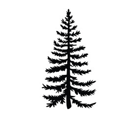 Obraz premium Simple Silhouette of a Majestic Evergreen Tree