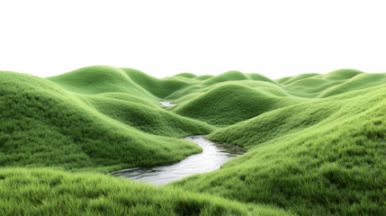 landscape with green grass