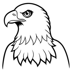 eagle vector illustration