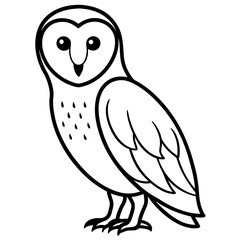 owl on white background