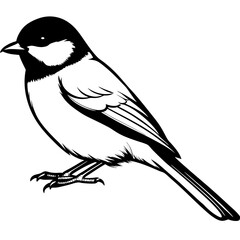 bird on branch