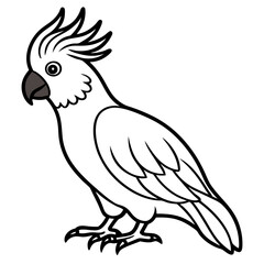 parrot on white background