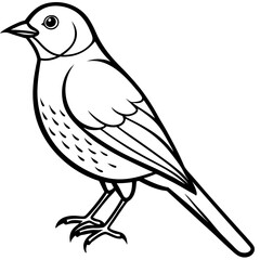 bird on a branch