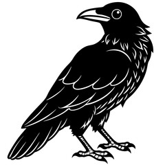 vector illustration of a bird
