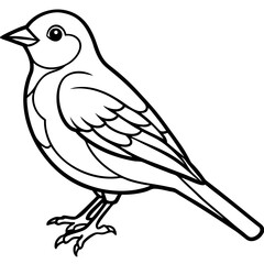 bird on a branch