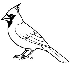 bird on a branch