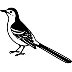 bird on a branch