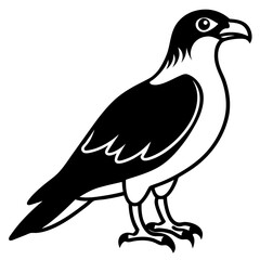 bird on a white background