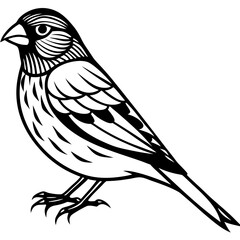 bird on a branch