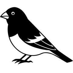 bird on a branch