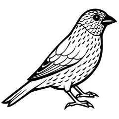 bird on a branch