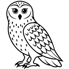 owl vector illustration