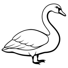 vector illustration of a white goose