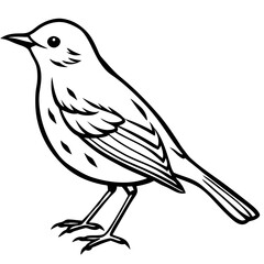 bird on a branch