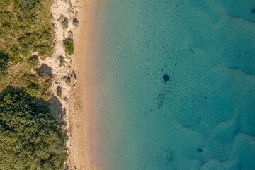 Graceful Stingray Gliding Through a Serene River – Aerial Drone View of Nature’s Tranquility