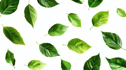 Fresh Green Leaves Pattern Design