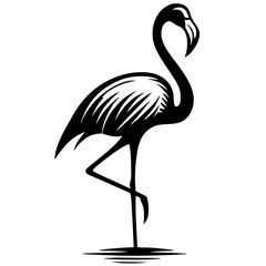 Beautiful flamingo silhouette