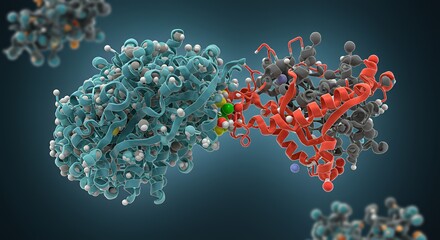 Molecular Model Showing Protein Structure with Blue and Red Rendering