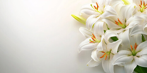 Obraz premium Close-up of a beautiful bouquet of white lilies against a white background.