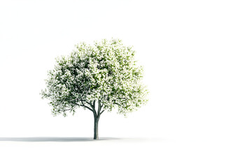 Obraz premium Blooming Tree: Spring's Beauty in Full Bloom