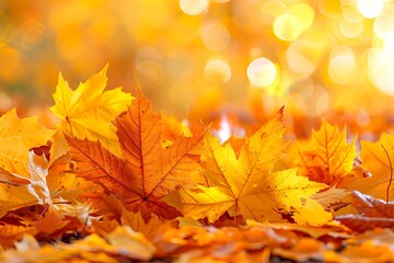 Autumnal Ground Cover: A Carpet of Orange Maple Leaves