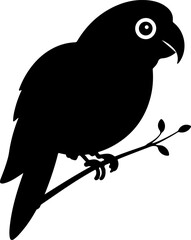 Parrot Silhouette Vector Art, Flying Parrot Silhouette Design, Parrot Bird Outline Vector, Tropical Parrot Silhouette Art, Parrot Silhouette Graphic, Jungle Parrot Vector Art, Minimalist Parrot Silhou