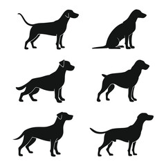 Vector Dog Symbols Set