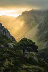 Breathtaking sunset over a solitary tree on a rocky hill, surrounded by majestic mountains. A perfect symbol of serenity, resilience, and nature&rsquo;s beauty. Ideal for landscapes, travel, and inspiration