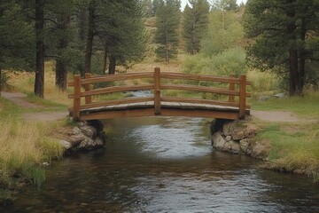 Fototapeta premium Wooden bridge crossing a peaceful stream in a forest