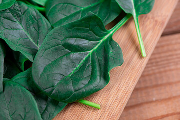  Close up of fresh spinach 