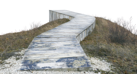 PNG Journey path boardwalk outdoors nature.
