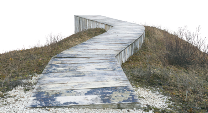 PNG Journey path boardwalk outdoors nature.