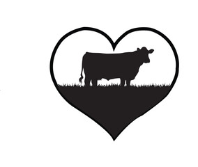 A cow with a white background