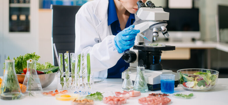 Scientist testing food samples in lab with microscope, vegetables, and meat for safety, nutrition, and biotechnology