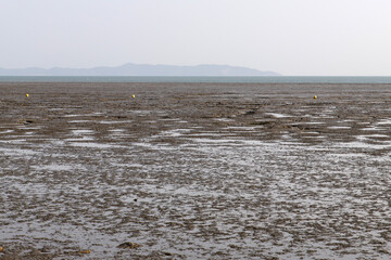mudflat at the seaside