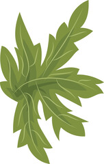 Illustration of Papaya's Green Leaves